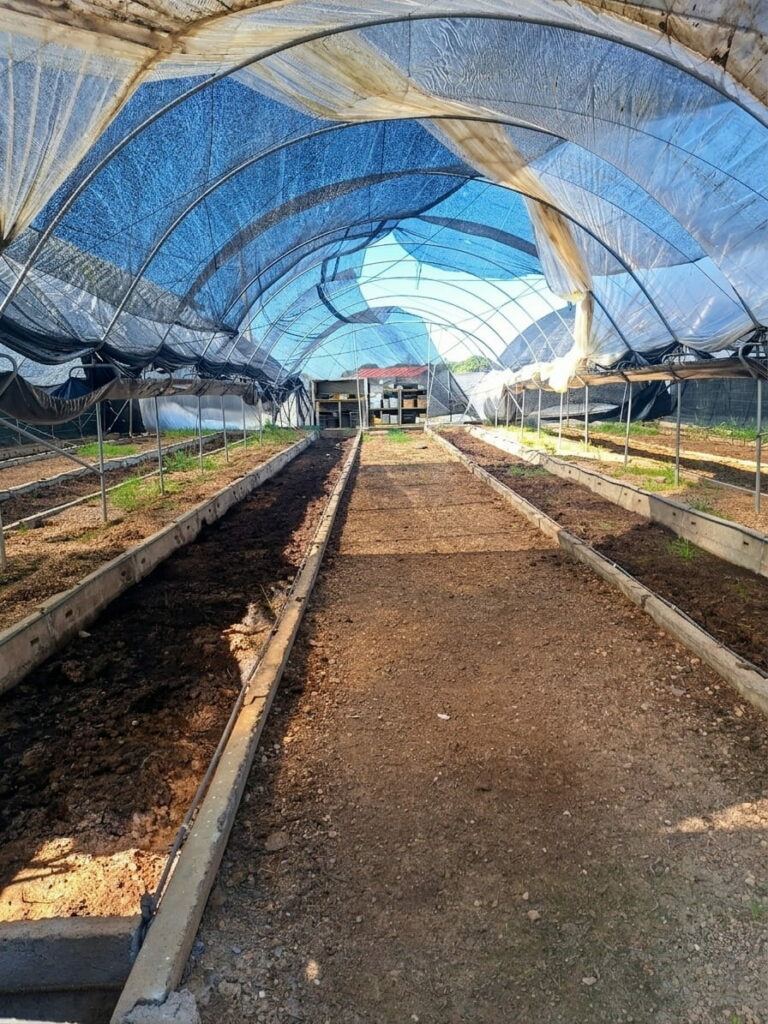 Camas de lombrices de compostaje
